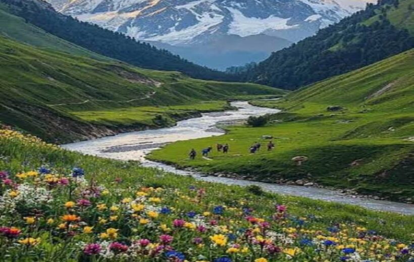 Himachal pradesh